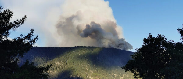 Waldbrand im Oberwallis, am 17. Juli 2023, beim Grat des Riederhorn. | Charles Martig